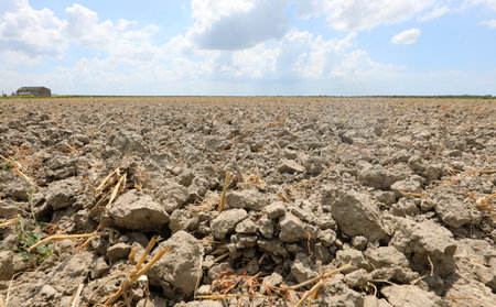 Vast Arid Plains Suffer Extreme Drought Leaving Cultivated Fields Dryの写真素材