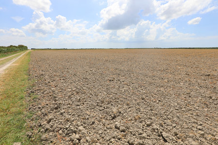 extremely arid land in summer of the cultivated field with dry earth due to drought in the vast open plain without peopleの写真素材