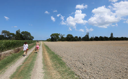 young mother and daughter walking on the small road alongside the dry arid field in the hot summerの写真素材