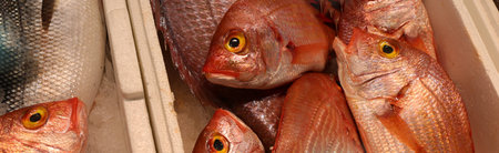 Fresh red fish neatly displayed in a crate at a market