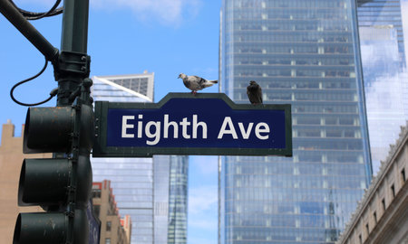 large Eighth Avenue street sign prominently displayed in New York Manhattan USA