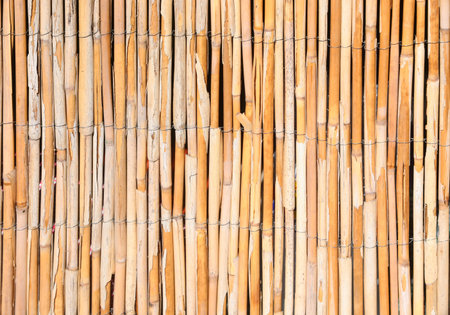 Background of dry bamboo reeds ideal as light brown colored fencing