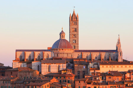 suggestive view sunset siena cathedral with tall bell tower eveningの写真素材
