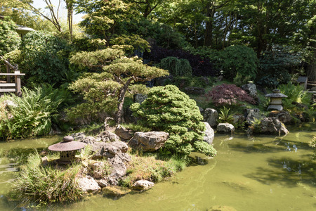 Japanese tea Garden in San Francisco, Californiaの写真素材