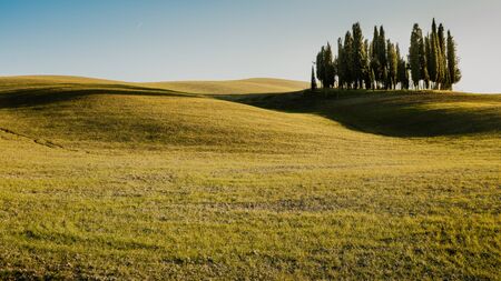 beautiful landscape of tuscany country at sunsetの写真素材