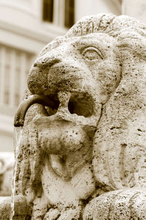 particular of a lion pipeの写真素材
