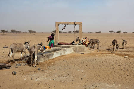 Tissint, Morocco. A Berber girl collects water from a well at the gates of the desert.のeditorial素材