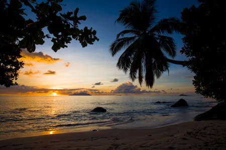Grand Anse beach, MahÃ¨, Seychellesの写真素材