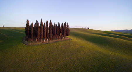 the famous cypresses of the Val DOrcia, Sienaの写真素材