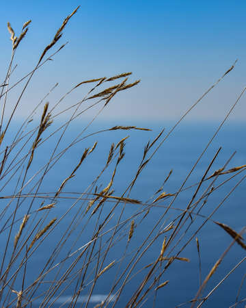 Gold and blueの写真素材