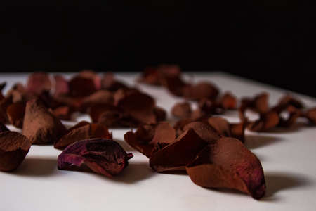 Petals of a dead roseの写真素材