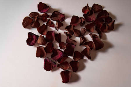 Heart with petalsの写真素材