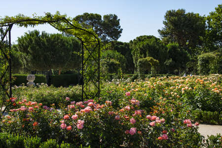 Detail of Parque del Retiro, Madrid - Spainのeditorial素材