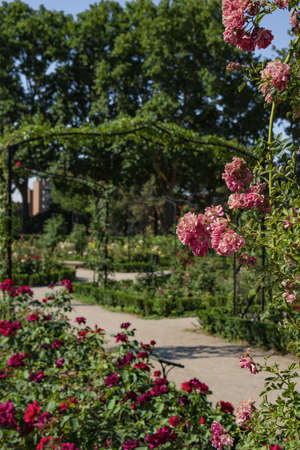 Detail of Parque del Retiro, Madrid - Spainのeditorial素材