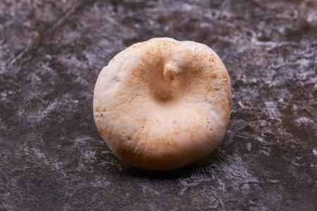 edible, tasty, beautiful mushroom on the table
