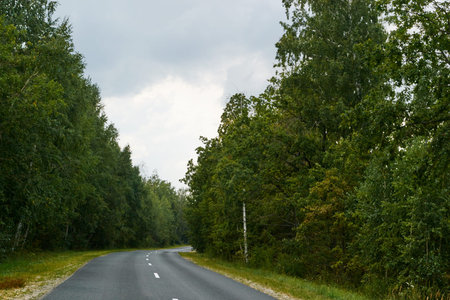 big, beautiful path goes far into the forest