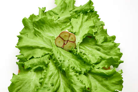 we present the set of green dill and parsley, taken in equal proportionsの写真素材