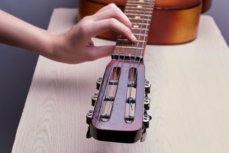 with six strings musical instruments with a resonant body and neck