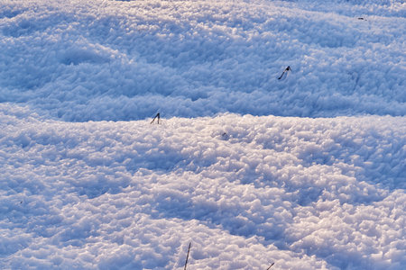 big, beautiful, clean Park is in a rural forestの写真素材