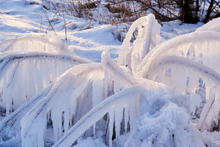 country, the Park is beautiful in winter, snow Bush