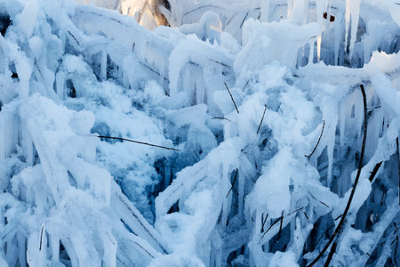 in winter under snow in the sunlight is a Bush in the Parkの写真素材