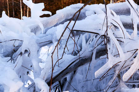 many of the trees bent in the winter under the snow in a beautiful forestの写真素材