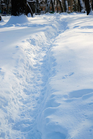 deep snowy road trodden from snow on a clear day