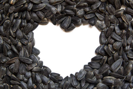 Sun Flower seed heart-shaped with white backgroundの写真素材