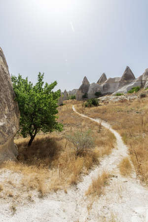 Beautiful view at Love valley, Goreme town in Cappadocia, central Anatolia of Turkey, Asia.の写真素材