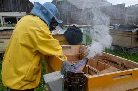 The beekeeper in the apiary. Pulls the frame out of the hive. Bees on the honeycomb. A beekeeper taking a honeycomb from a hiveの写真素材