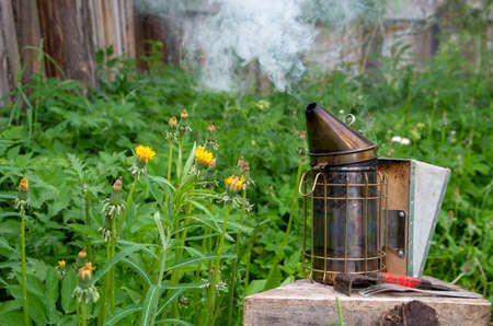 Old Smoker standing on the hive. A bee smoker is a device used in beekeeping to calm honey bees. It is designed to generate smoke from the smouldering of various fuels, hence the name.の写真素材