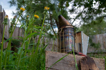 Old Smoker standing on the hive. A bee smoker is a device used in beekeeping to calm honey bees. It is designed to generate smoke from the smouldering of various fuels, hence the name.の写真素材