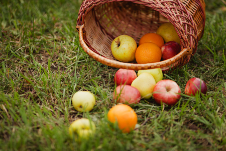 red and yellow applesの写真素材