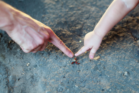 dad the child playの写真素材