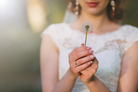 Bride in white dress holding dandelion in handsの写真素材