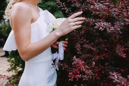 The bride holds a palm over the leaves of a juicy autumn burgundy clipped bushの写真素材