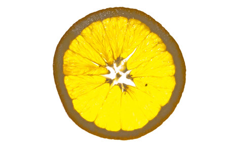 Translucent slice of juicy orange, isolated
