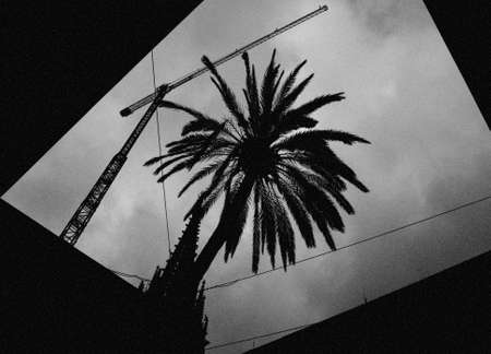 Everything. Film grain added.の写真素材