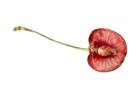 Ripe cherry cut in halves, isolated on white background, macro shotの写真素材