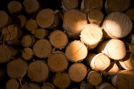 Pile of birch logs in dark with light area, copy spaceの写真素材