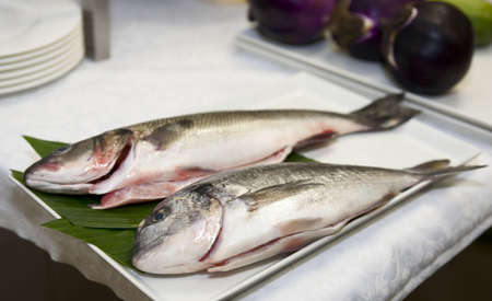 Seabass and gilthead - most popular Mediterranean fishesの写真素材