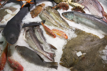 Great variety of fish and seafood on fish market ice display