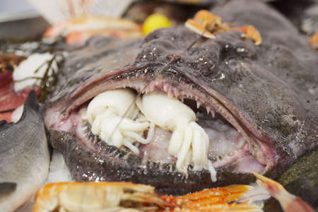 Ugly fish with calamari in its mouth on market display の写真素材
