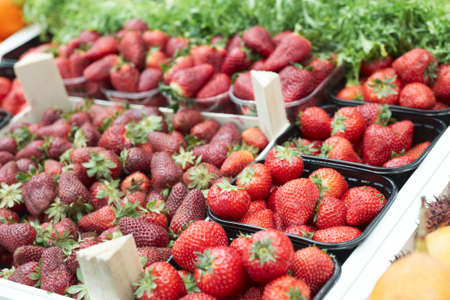 Assortment of strawberries on food market stallの写真素材