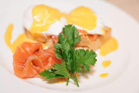 Toast with poached egg, salmon and parsley on plateの写真素材