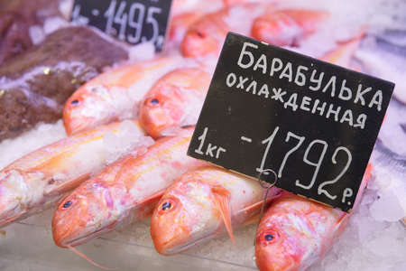 Mullet on a cooled maket display, close-upの写真素材