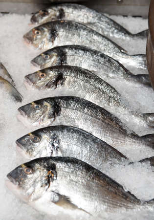 Seabass on cooled market display in fish shopの写真素材