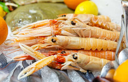 Scampi (langoustines) on a cooled market displayの写真素材