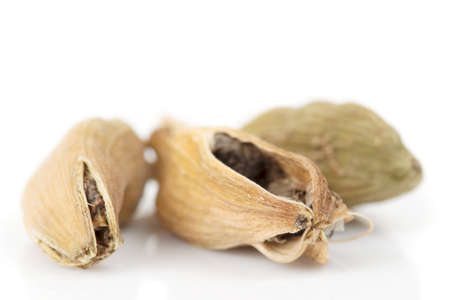 Cardamom heap isolated on white background, macroの写真素材