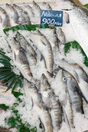 Icefish mackerel on market stallの写真素材